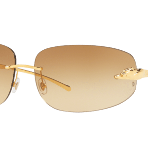 Cartier Unisex Sunglass CT0062S -  Frame color: Gold Shiny, Lens color: Brown