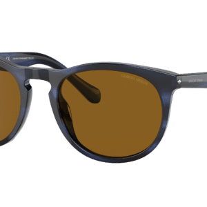 Giorgio Armani Man Sunglass AR8149 -  Frame color: Striped Blue, Lens color: Brown