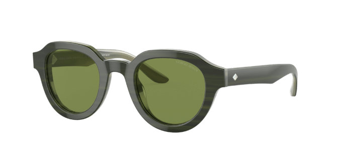 Giorgio Armani Woman Sunglass AR8172U -  Frame color: Bilayer Marble Green, Lens color: Green